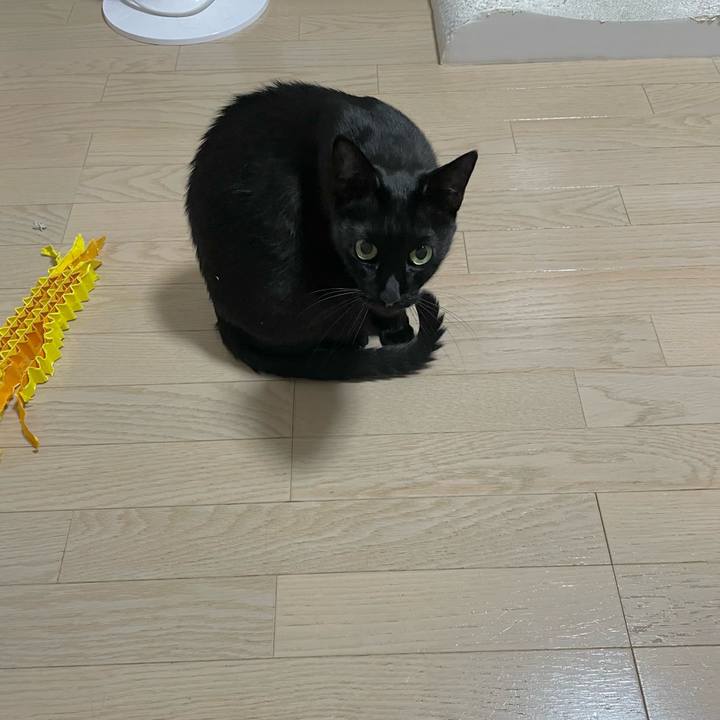 E8e44a22 3df7 497d b793 f6579d6b8c6d 1724752813516