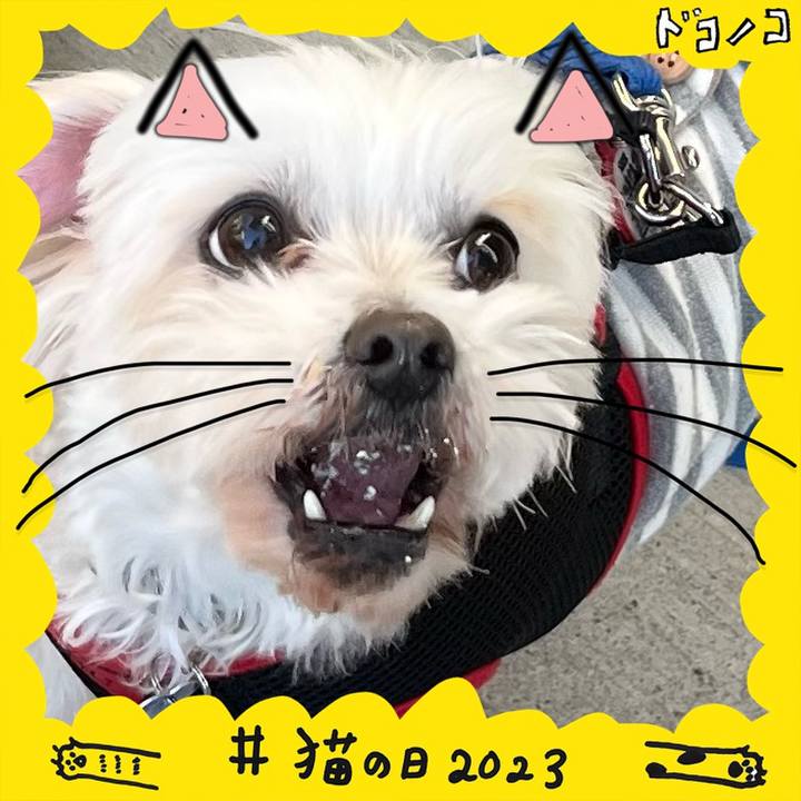 E8e4ab62 c6a6 4052 b76d ed1b72facda0 1677028369549