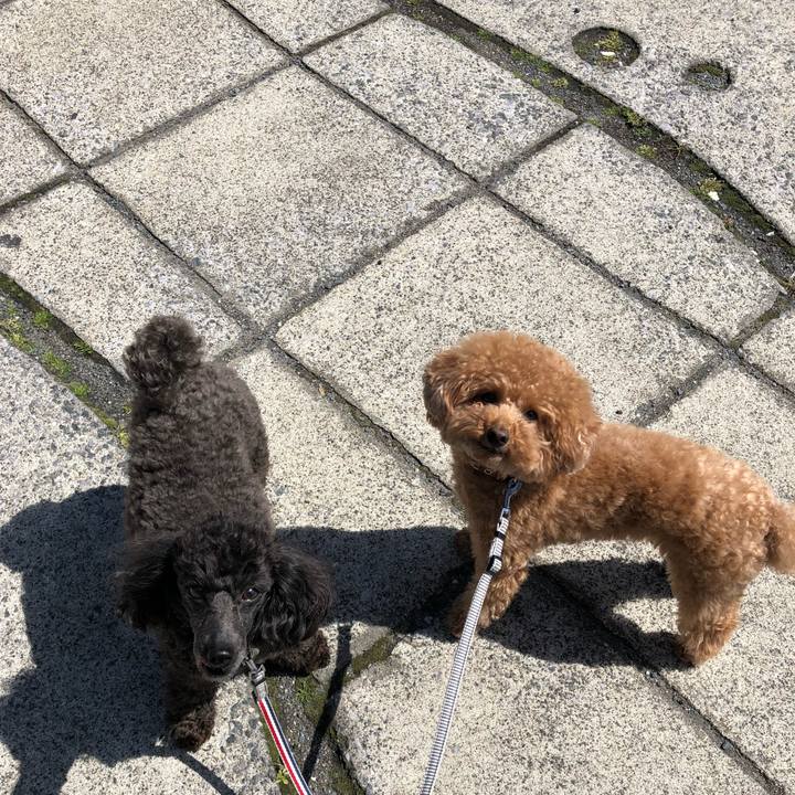 E8e4e65c 7392 4eb0 8eb3 da548e6abf2d 1586841570113