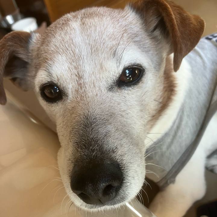 E8e5090e 2c73 4b49 86b1 eff69f0c5856 1773012659019