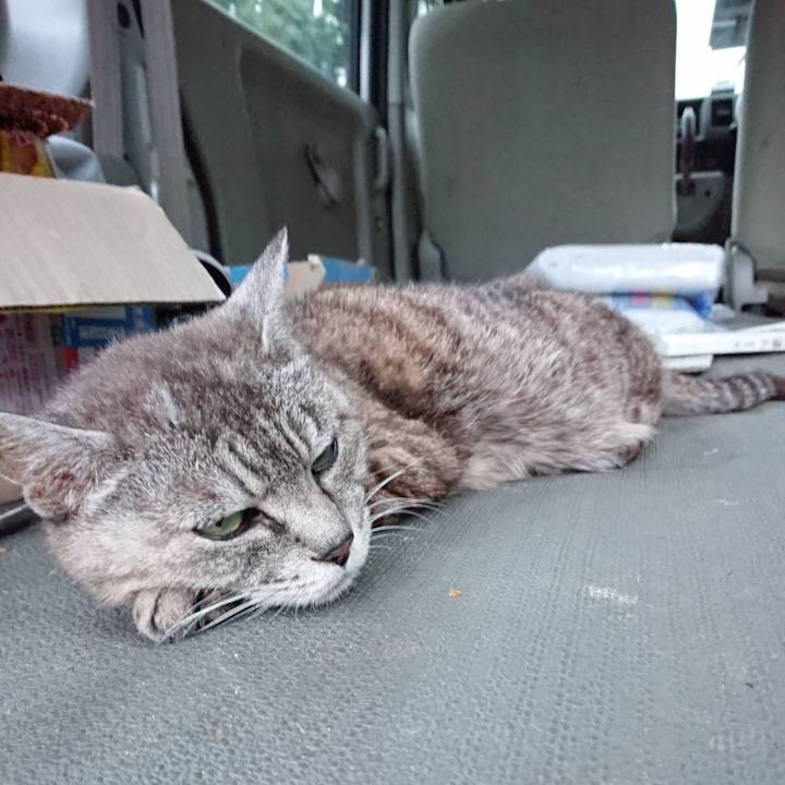 E8e50b9d f6e9 4c03 8584 034a11a8468f 1566897480061