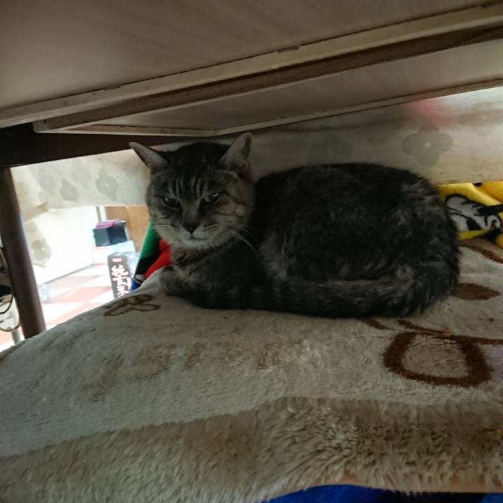 E8e52de3 1b50 4808 8527 a168c7df8e3e 1573249285979