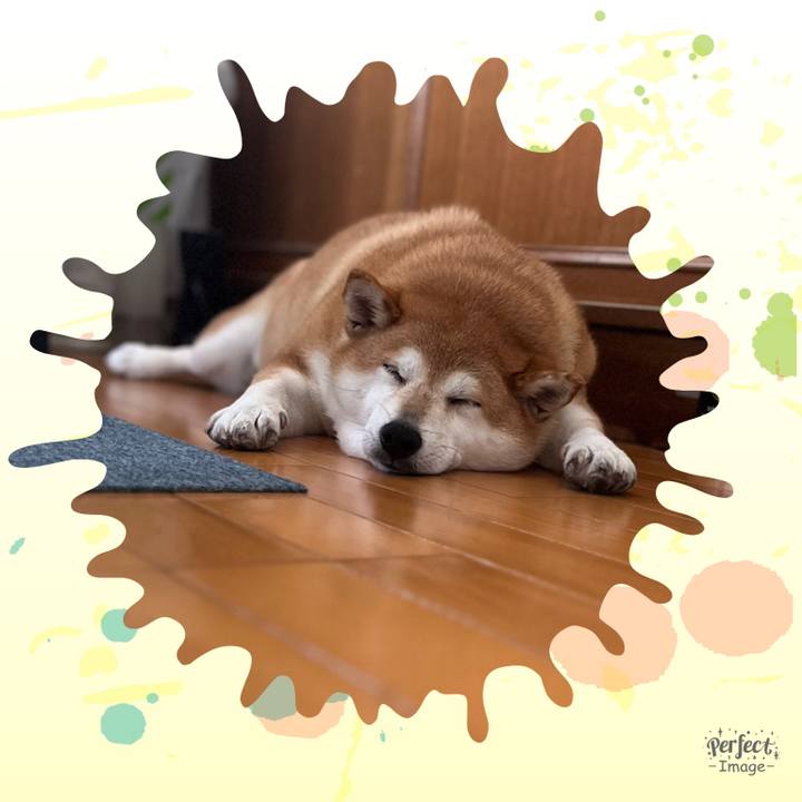 E8e532f2 0468 446d 9082 bec9dc9875c0 1690159880171