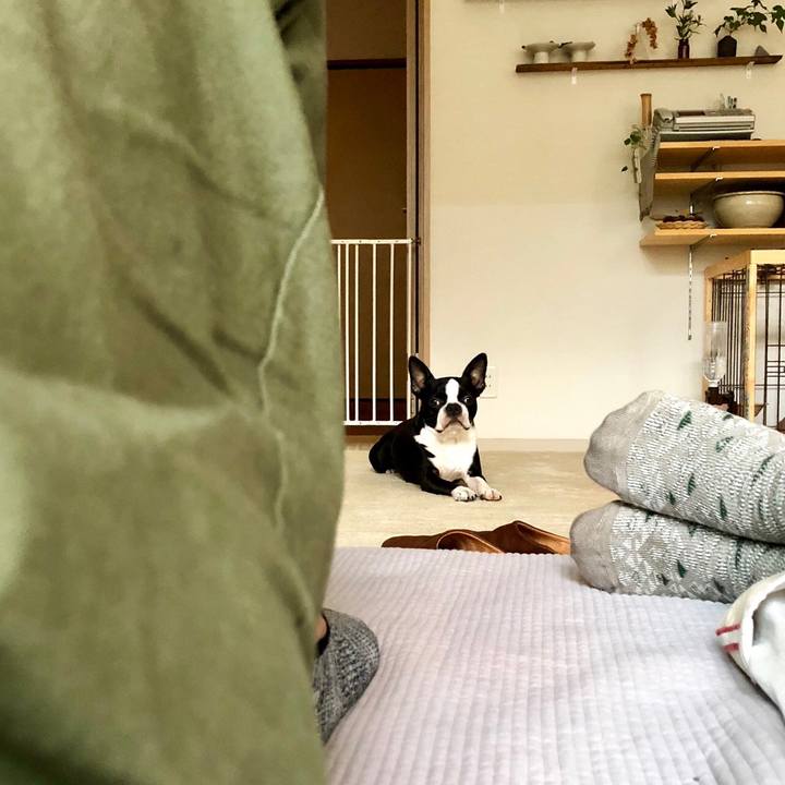 E8e5798c ff57 4dd3 9fb0 ed28592ea782 1537244589822