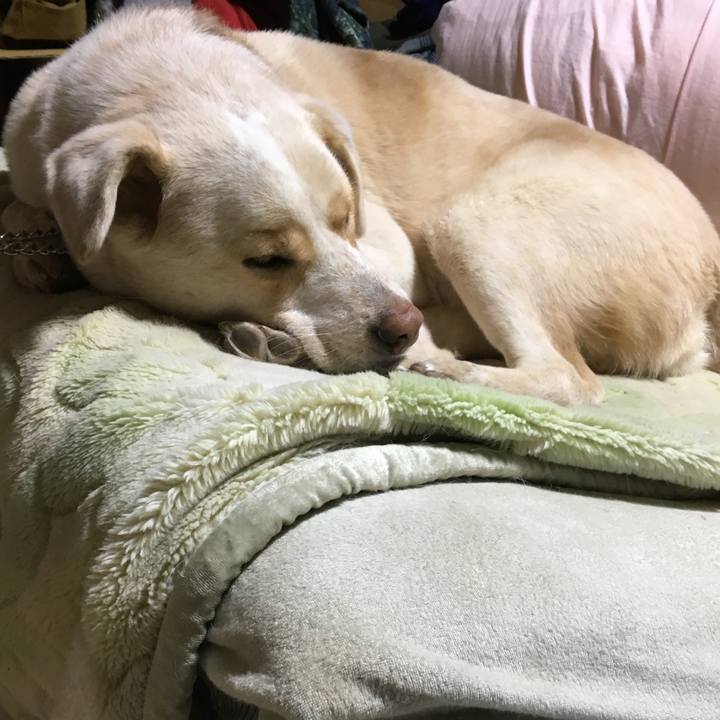 E8e57f2f c745 4956 a7e8 7c764391d5ba 1516360954348