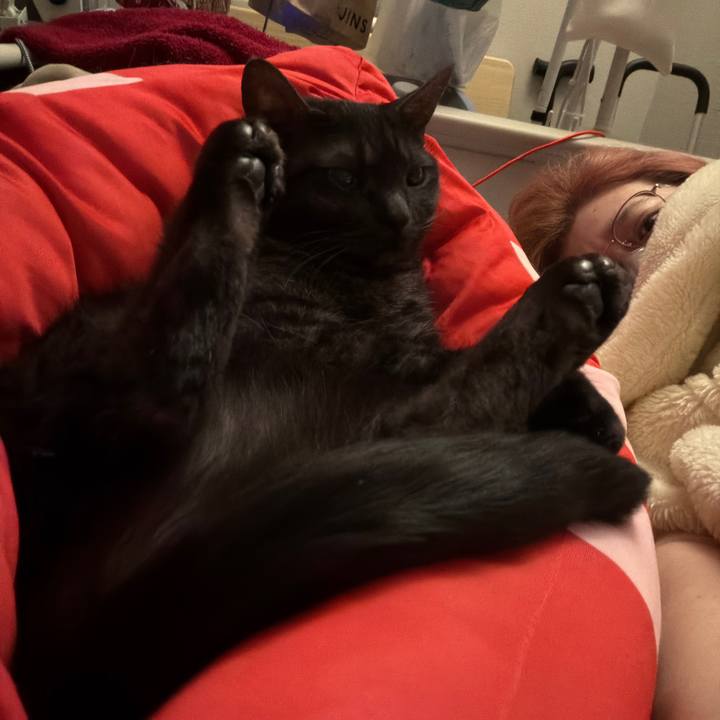 E8e59529 beee 4ac9 ba1d 0adaba34313b 1768674964453