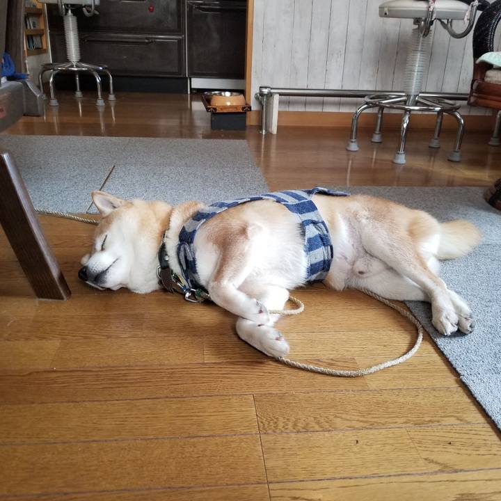 E8e5b787 7a15 41df 9e9e 8f018340b2e2 1611188440729