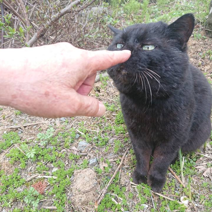 E8e5cc1f 60f4 4fdc ae5b 9c2fa4d1db28 1650805168419