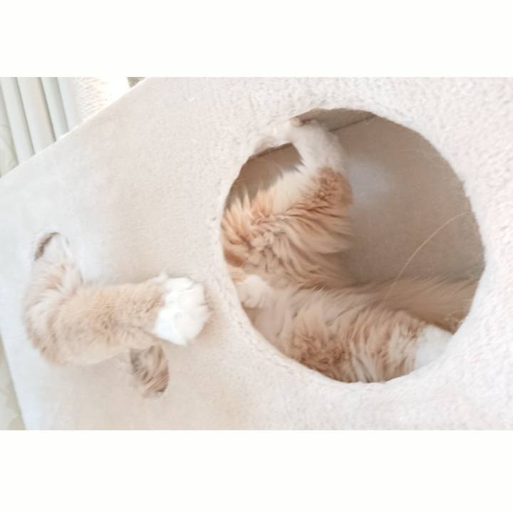 E8e5f645 2eb9 463b 8deb 6a8abddd4f4a 1549780495151