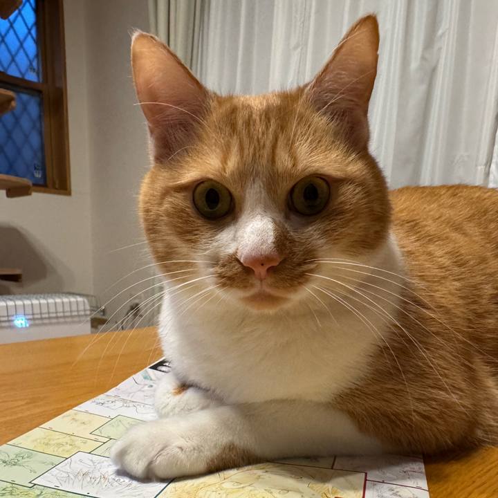 E8e614c1 0f57 4328 8308 32ce2bc625d0 1765803970229