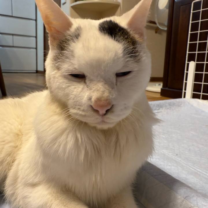 E8e6441b bf62 4509 b13e 54ccea78acad 1761029270054