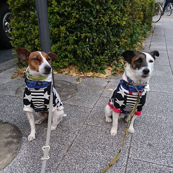 E8e64797 15c6 4b13 8d06 9093a361a4cc 1609111928966