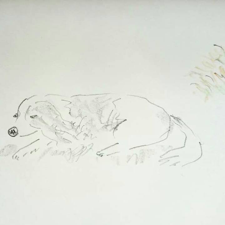 E8e6486b 8f1a 4736 a87a a1cbb491c146 1567479725971