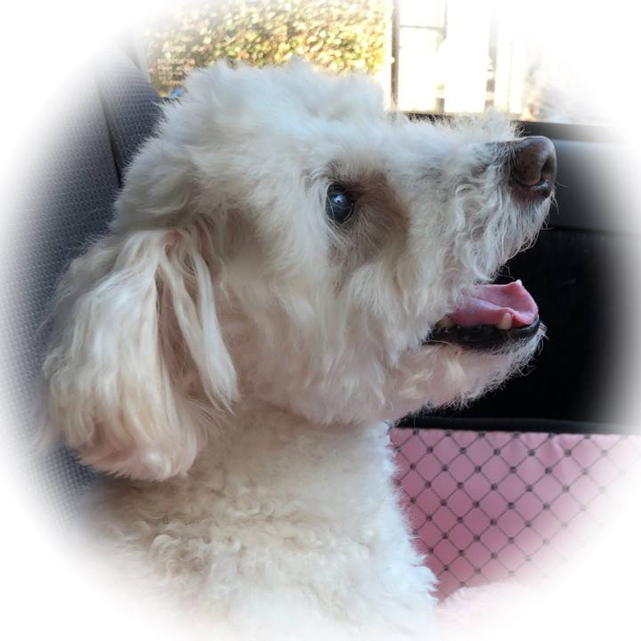 E8e6920e dca9 4912 8b2e 183cd939f72a 1550040761150