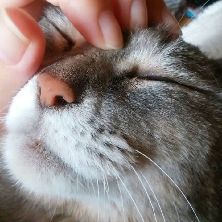 E8e698d5 f938 4aa4 88f0 cb35b78e35d9 1556336908881