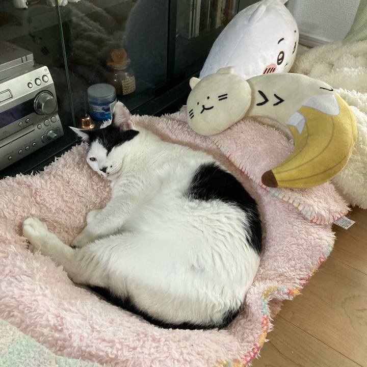 E8e6b414 e62d 43e0 9e2e 32648d3d6980 1760145578910