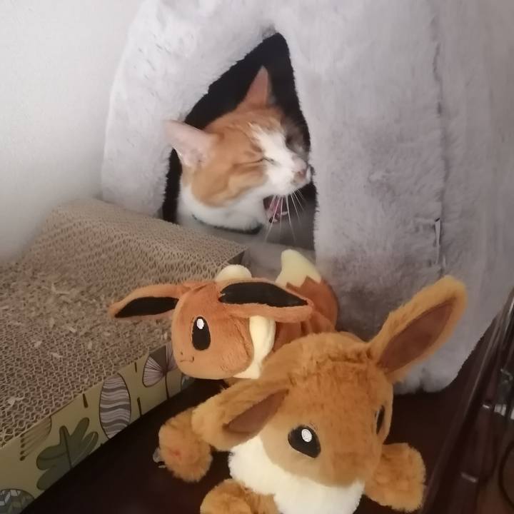 E8e6e7c4 02ba 44c5 bc72 903451257520 1636274803842