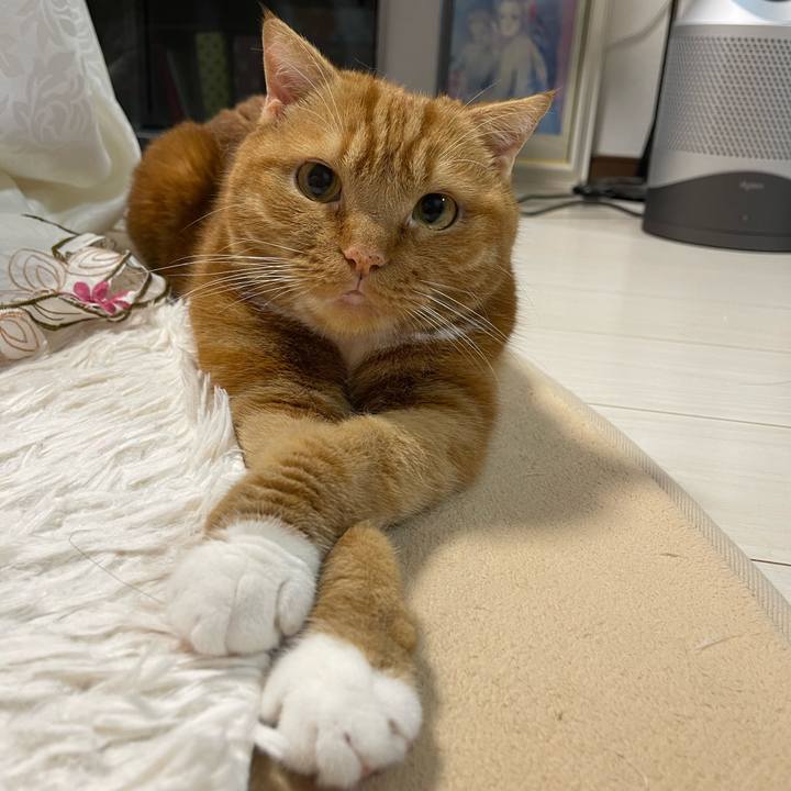 E8e747bc 9b13 4acb bae1 aa8dba630040 1661777549469