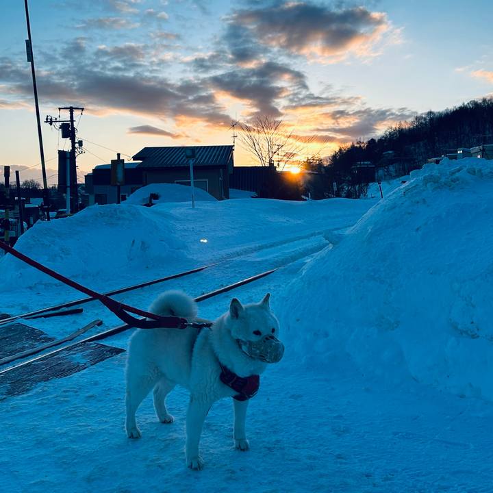 E8e78124 d98b 44c6 95ca aa0fd5e0df37 1771540198393