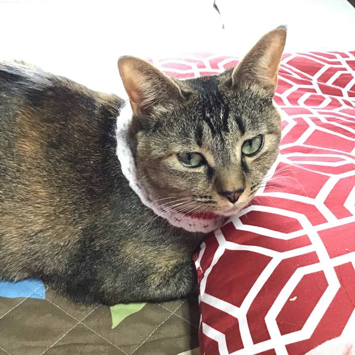 E8e79e93 ba63 4552 b2da 8ab081b389dd 1610685383548