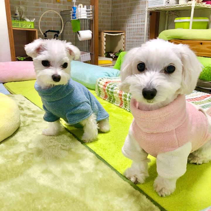 E8e7d045 8710 4409 a290 2d1dc7e2a4b2 1579048531638