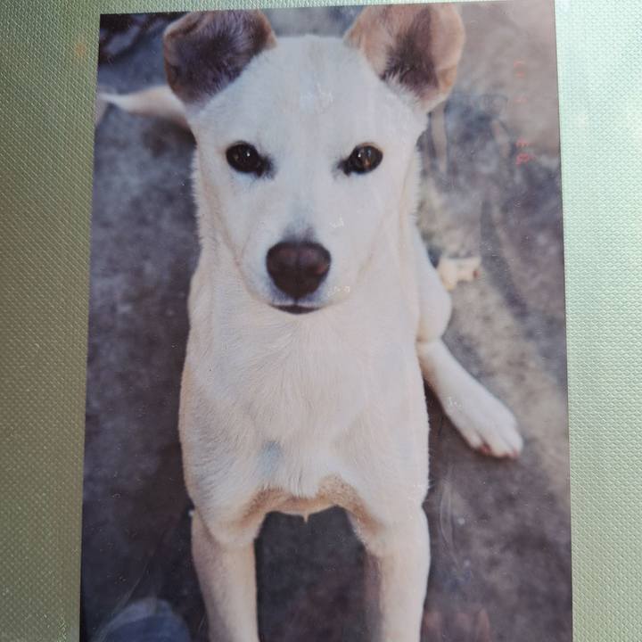 E8e8072c fdbd 4545 b574 cb97b4c02c40 1703849797443