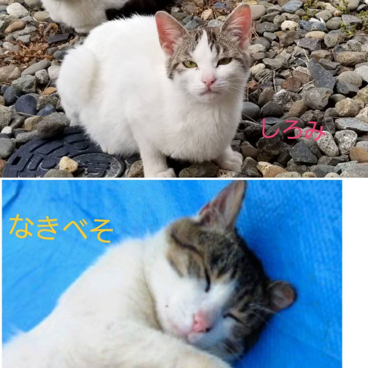 E8e81e20 bc7d 4d7d a62b e5b8cb576c18 1560495671924