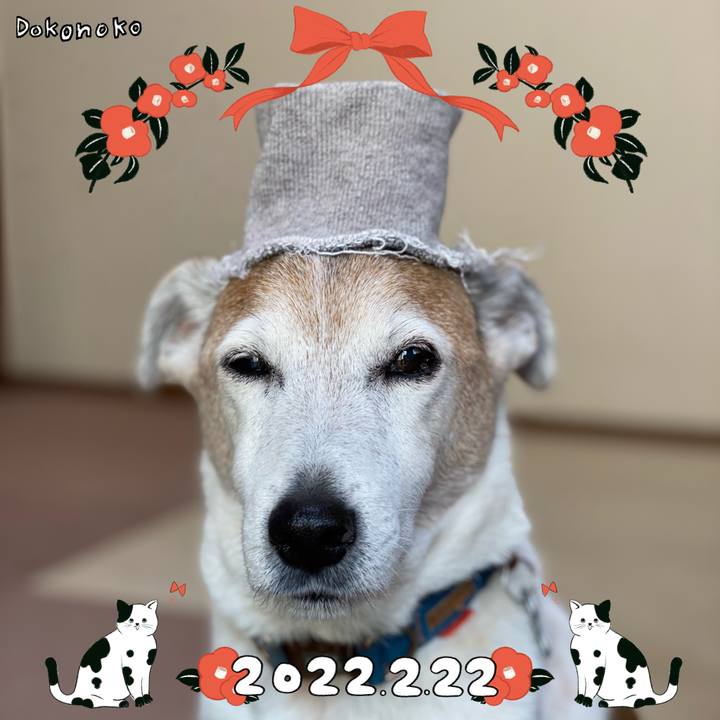 E8e81eeb ccf5 4170 ba4c e1ca1845ed60 1645514277976