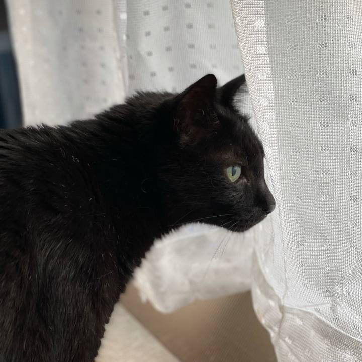 E8e86b88 fad4 46c4 b796 997c94f44e60 1628037510689