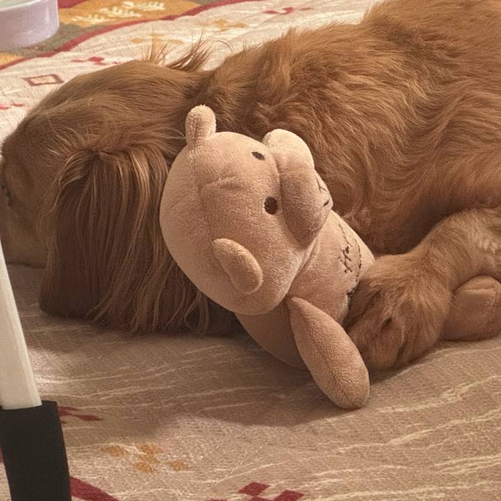 E8e88070 554a 44a8 b93f 0406bcd7dc63 1757841536881