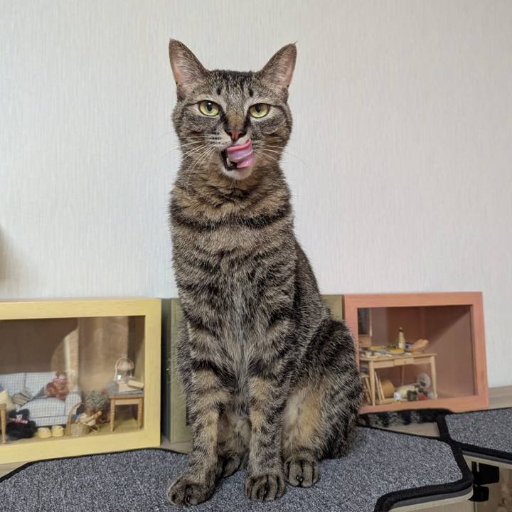 E8e8948d c36a 47bc a160 b34faea71776 1753313350137