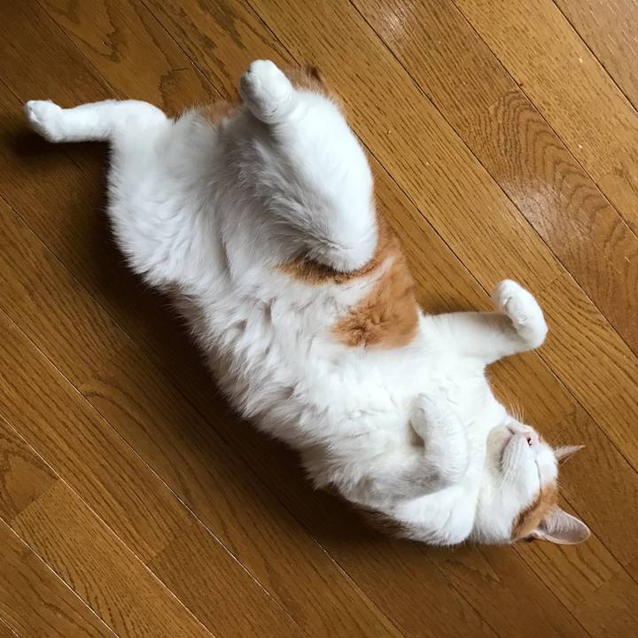 E8e8ab10 cd2a 4805 bc0f 18f36f1c1610 1596234271953