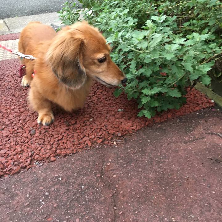 E8e8d403 9c46 4e49 ba02 2ba4c9fe2be7 1600602998613