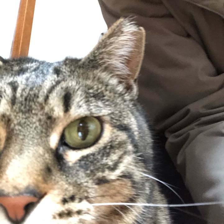 E8e8f18f 880b 475b bfb1 e56526b83e43 1580988869800