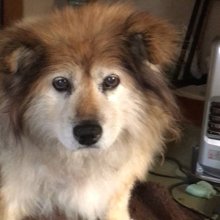 E8e9115e 8564 4de3 b1a4 ec3ca0017654 1565197566620