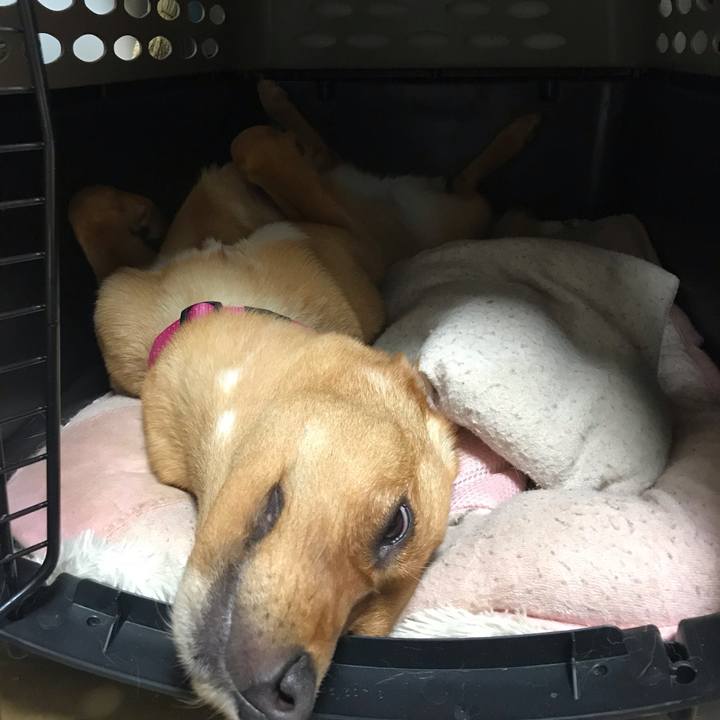 E8e92f99 76c9 41e7 9a06 122c62ab6c95 1559876090701