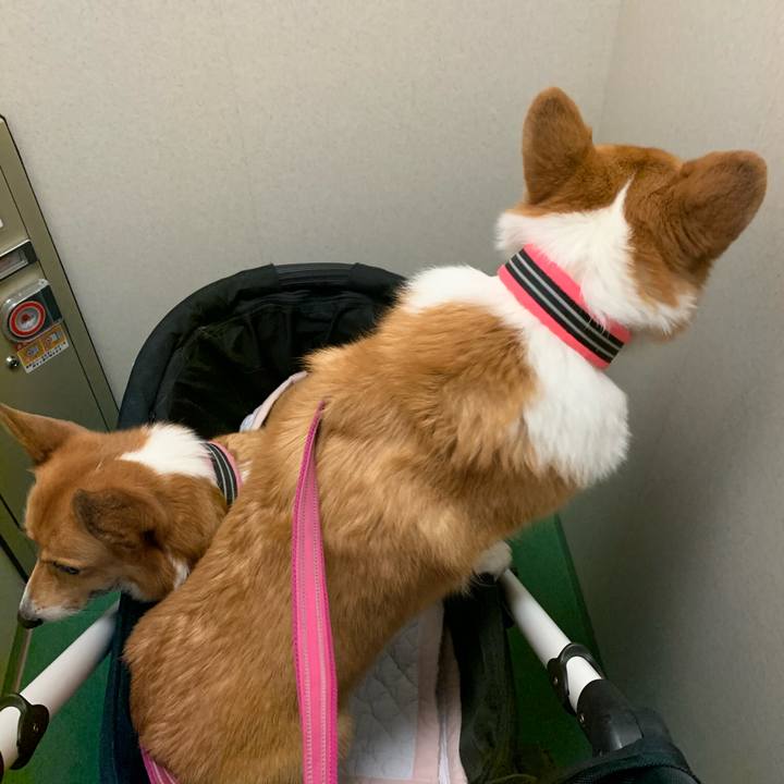 E8e9368e b9f6 427b 921e 7ab167d88a2f 1572934636090