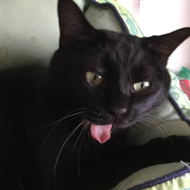 E8e94733 082f 492f b400 5a852fb67d05 1564390853420