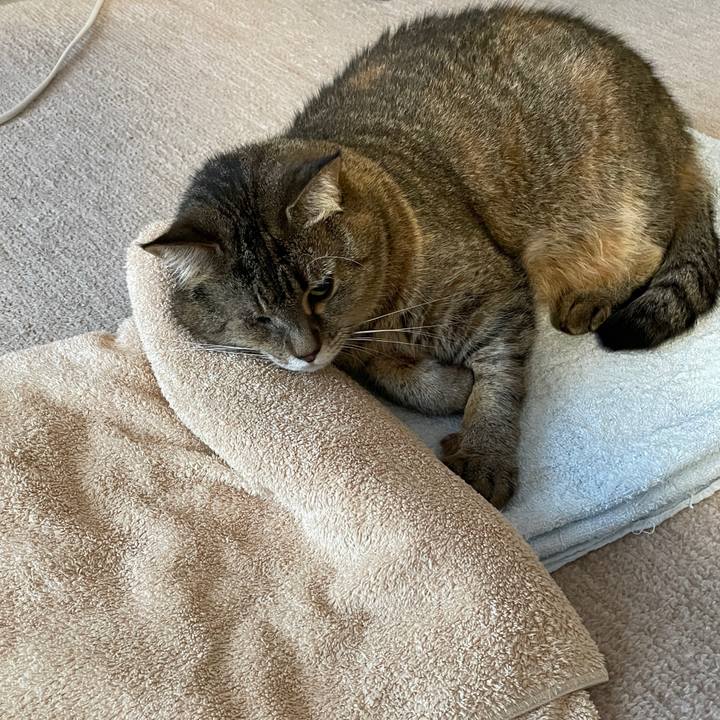 E8e984c4 00a2 425d af1f 42251f1c0b6a 1622028004250