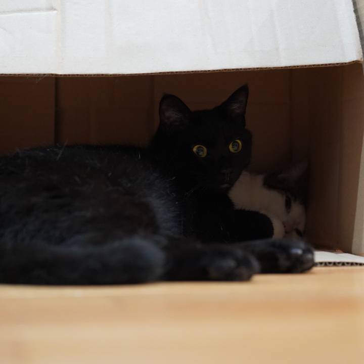 E8e9be01 c13a 4103 8b9c f151e6763c6e 1628516001491