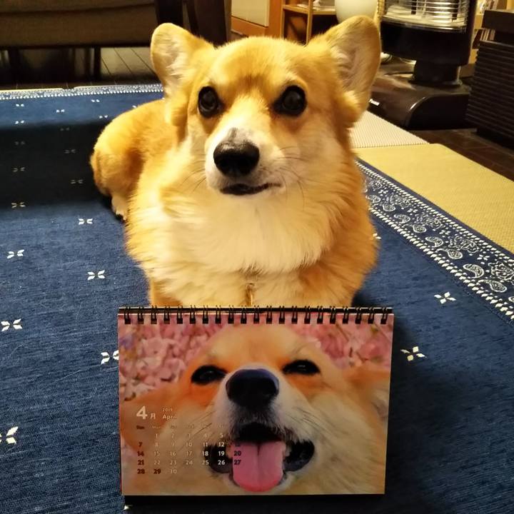 E8e9d114 58d5 4966 91d4 247795753d41 1554204491653