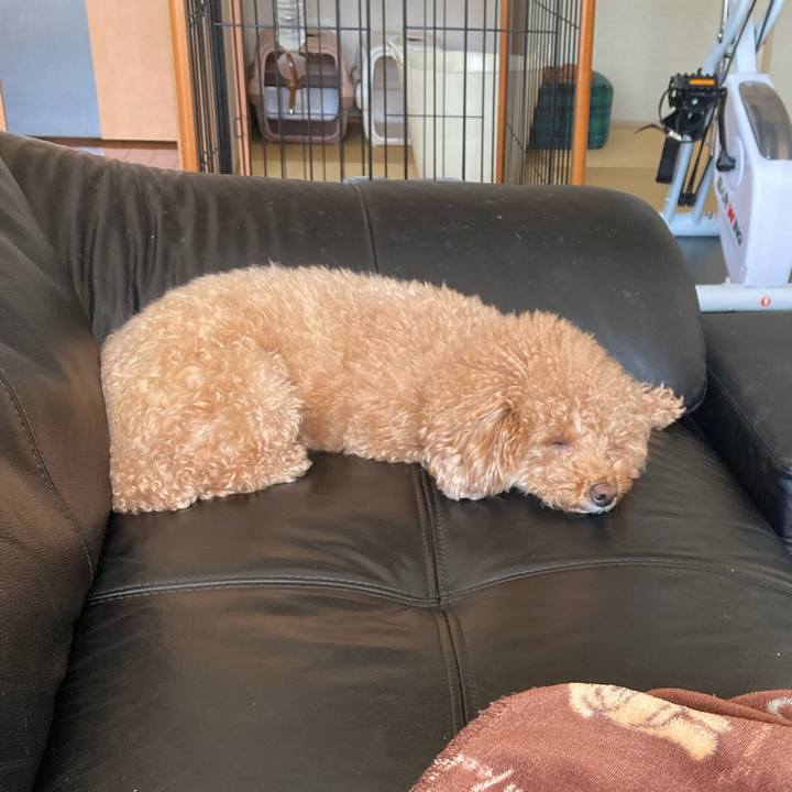 E8ea05ab 85a2 4a22 a169 d9e8ba9eebca 1637376498200