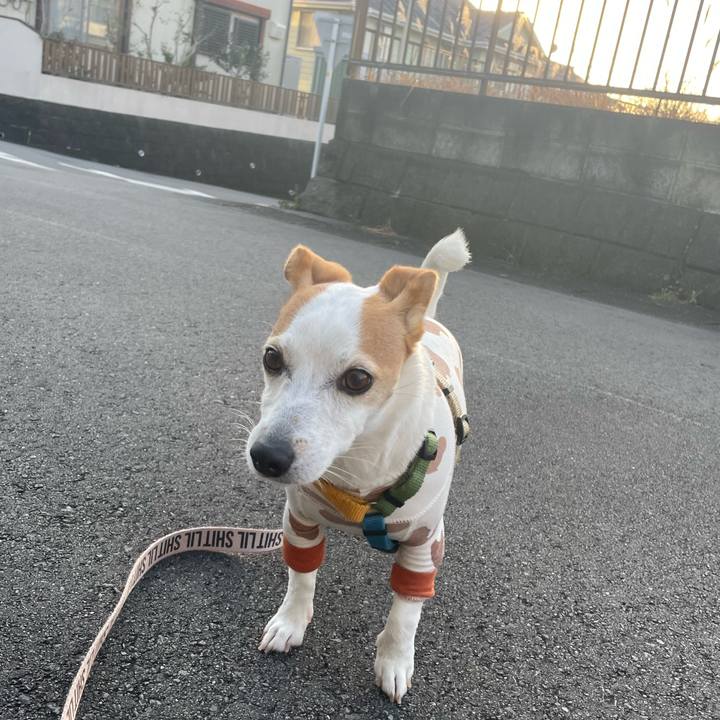 E8ea12c7 e2a0 4ba5 a454 ee95056cacae 1673928215069