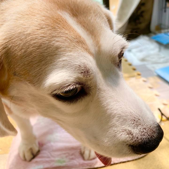 E8ea23fc 6809 47ee a147 583e961cb031 1623728893091