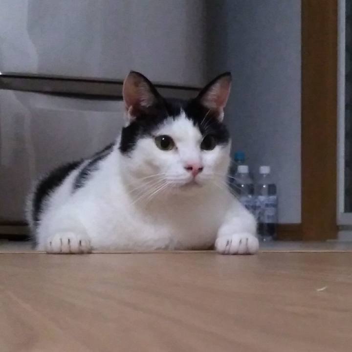 E8ea3745 7aad 4a28 90ea 545a071c33cd 1535717981178