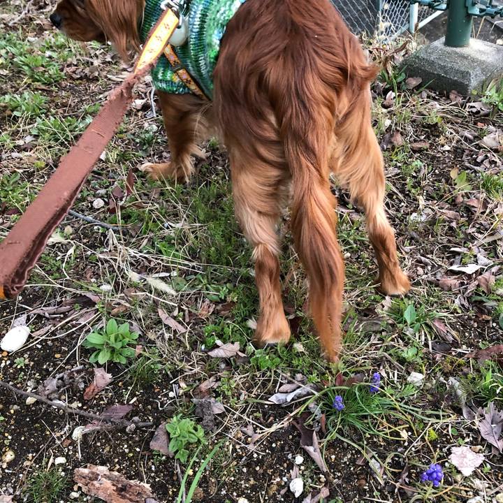 E8ea63e3 4b60 4539 8a05 40e1ce411e12 1552733943802