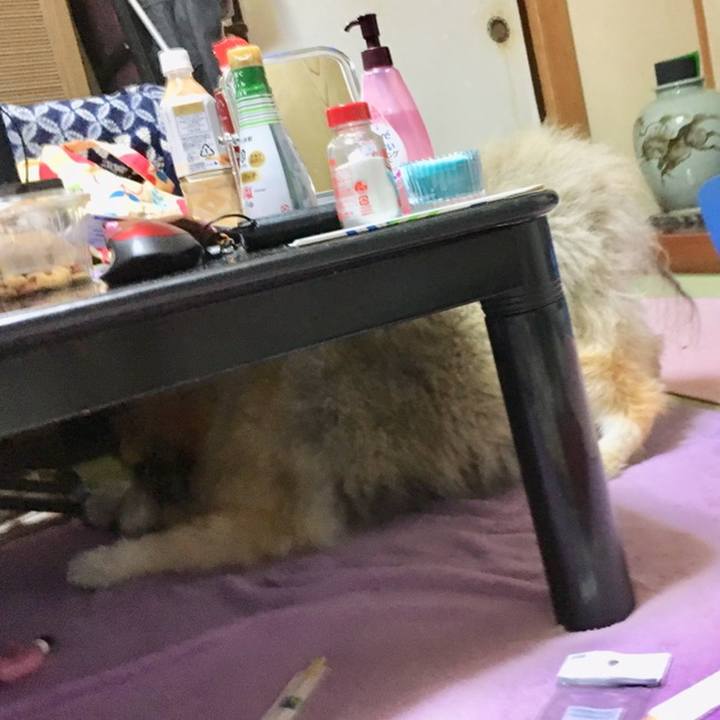 E8ea771e 5962 4df4 a2cf 242bce7954ba 1559930505018