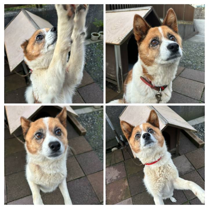 E8ea8cd8 9897 4714 ad20 d4aac6bef394 1762032972640