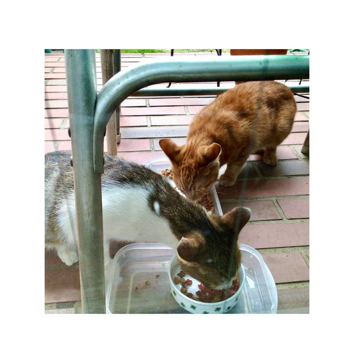 E8eaa13c d87d 47a9 af20 e976e3b60ddc 1616307397733