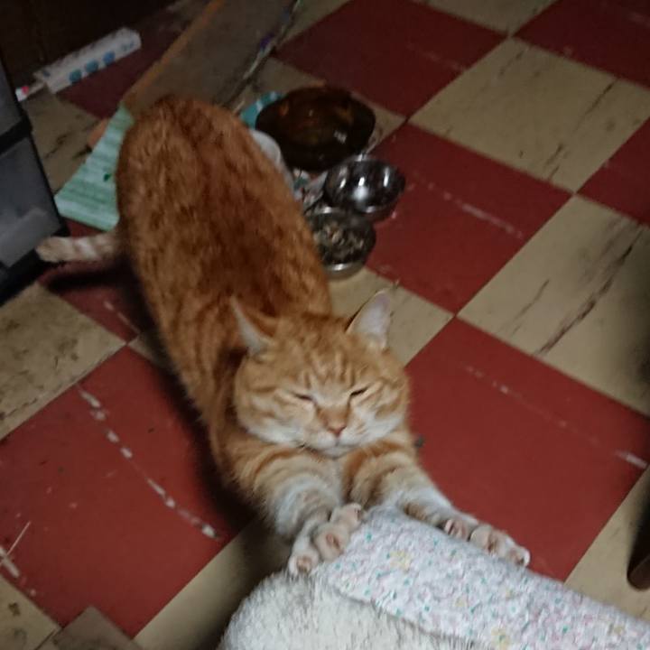 E8ead476 4073 4b1d 85ff b98c76e0709b 1580759481165